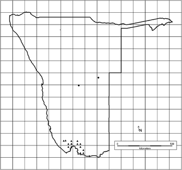A Grid Map Marks The Plot Of Herolds Garden A Synopsis Of Aptosimum And Peliostomum (Scrophulariaceae) In Namibia,  Including The Description Of A New Species, Aptosimum Radiatum, And Keys To  All Accepted Species | Springerlink