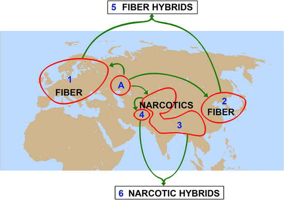 figure 25