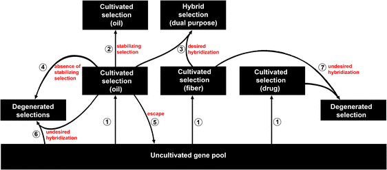 figure 26