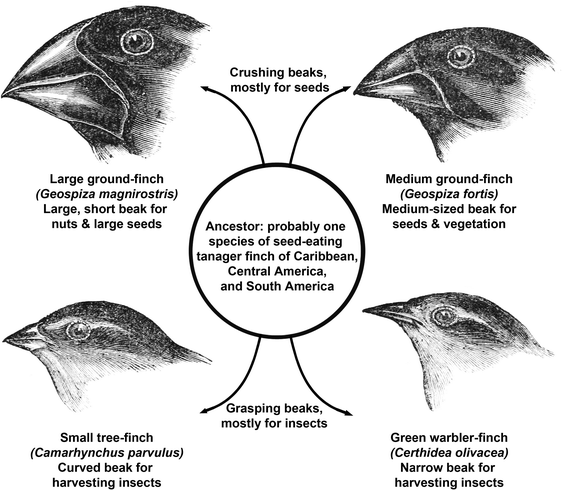 figure 27