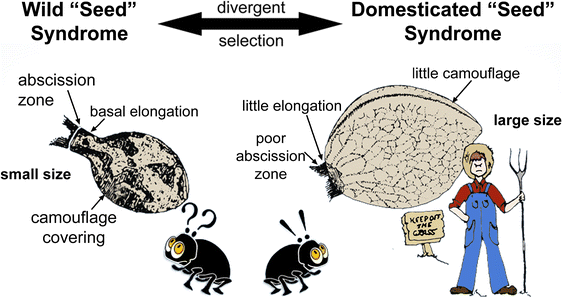 figure 30