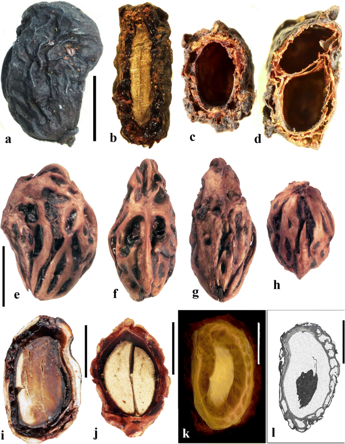 figure 17