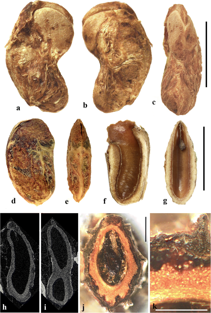 figure 25