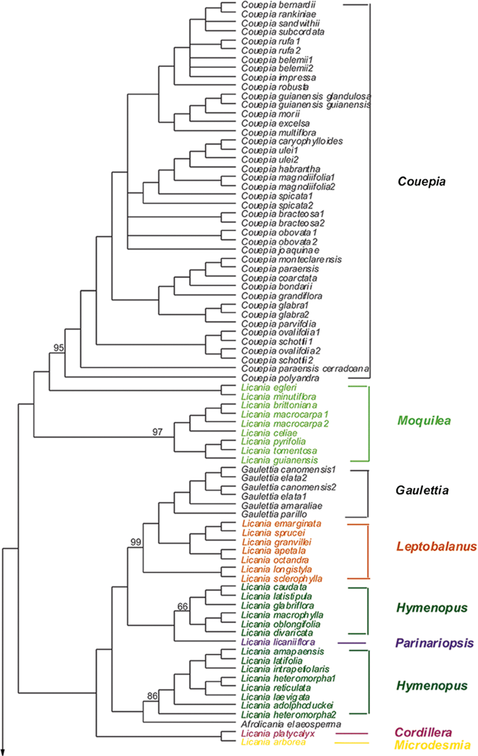 figure 15