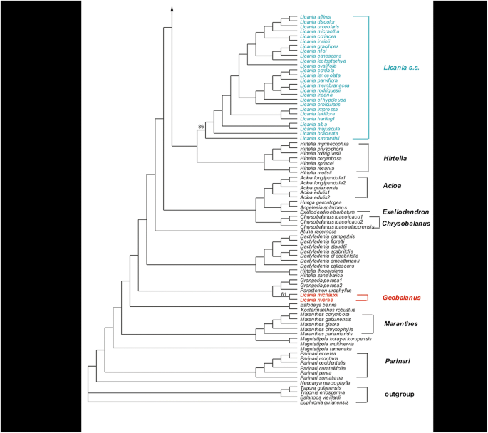 figure 15