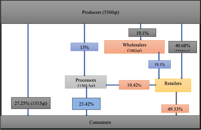 Value Chain Analysis of Potato (Solanum spp.): Evidence from Guagusa ...