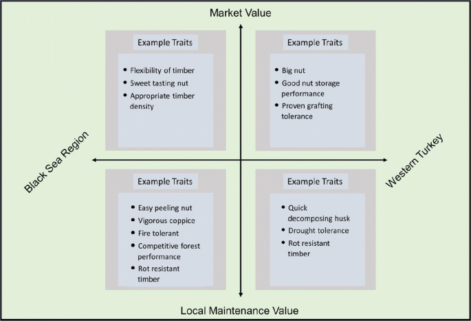 Folk Biological Value And Chestnut Conservation In Turkey Springerlink