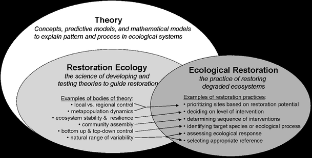 Reforming Watershed Restoration Science In Need Of Application And Applications In Need Of Science Springerlink