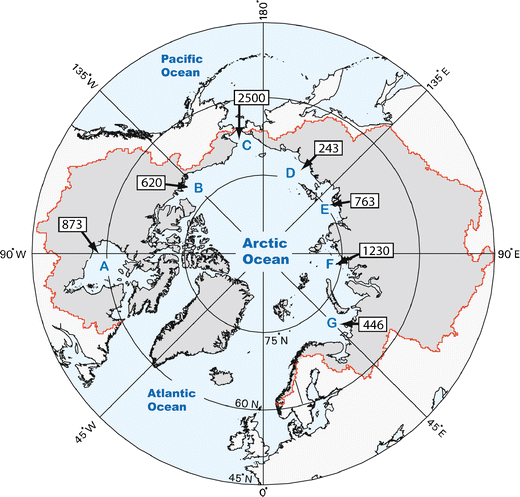 The Arctic Ocean Estuary | SpringerLink
