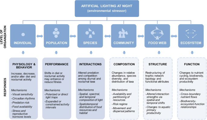 visual lighting 3 save as pdf visual lighting 3 save as pdf