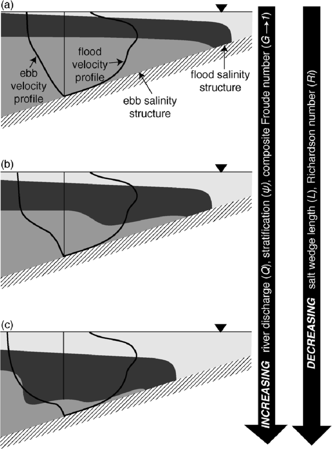 Seasonal Changes in Structure and Dynamics in an Urbanized Salt Wedge  Estuary | SpringerLink