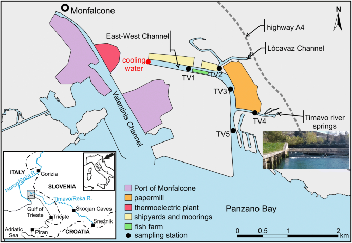 Distribution, Mobility and Fate of Trace Elements in an Estuarine System  Under Anthropogenic Pressure: the Case of the Karstic Timavo River  (Northern Adriatic Sea, Italy) | SpringerLink