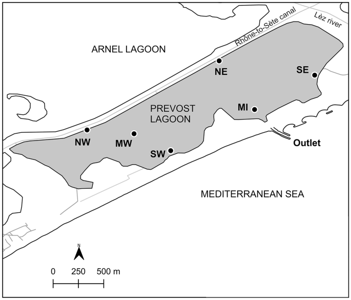 graphic_overview