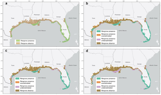 maps of mangrove expansion