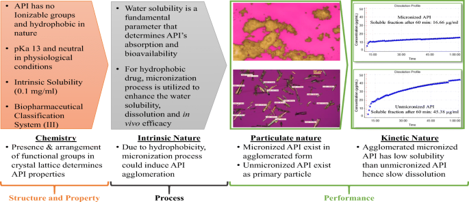 Micronization And Agglomeration Understanding The Impact Of Api Particle Properties On Dissolution And Permeability Using Solid State And Biopharmaceutical Toolbox Springerlink