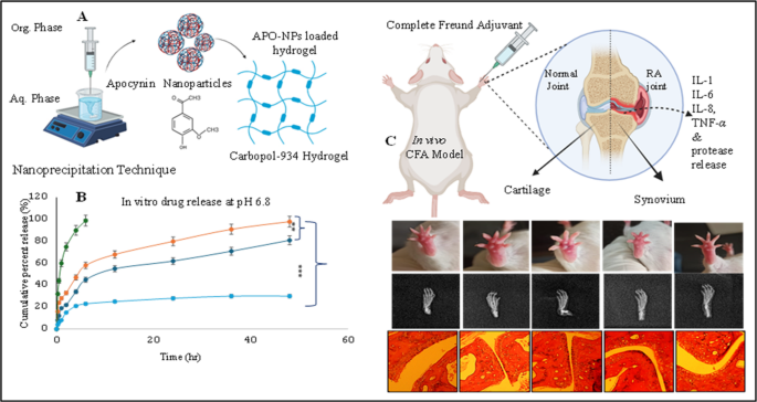 Apocynin Loaded pH-Sensitive Nanoparticles Based Transdermal Hydrogel ...