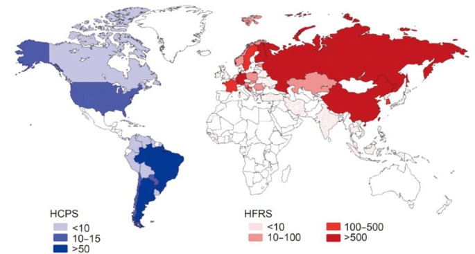 Hantavirus infection: a global zoonotic challenge | SpringerLink