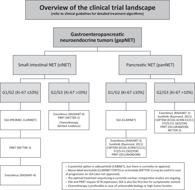 Treatment sequencing in gastroenteropancreatic neuroendocrine tumors ...