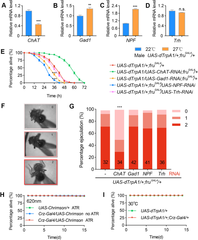 Sex And Death Identification Of Feedback Neuromodulation Balancing Reproduction And Survival Springerlink