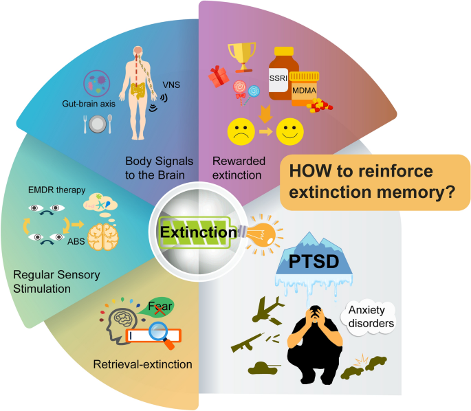 Memory Trace for Fear Extinction: Fragile yet Reinforceable | Neuroscience  Bulletin