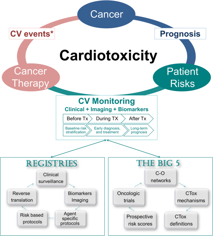 Cardiac Imaging in Oncology Patients in Europe: a Model for ...