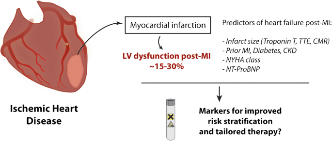 Peripheral Blood RNAs and Left Ventricular Dysfunction after Myocardial  Infarction: Towards Translation into Clinical Practice