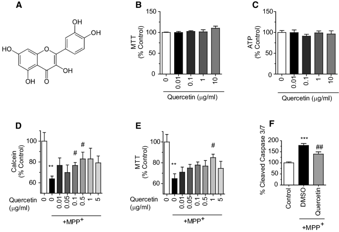 Qi Activating Quercetin Alleviates Mitochondrial Dysfunction And Neuroinflammation In Vivo And In Vitro Springerlink