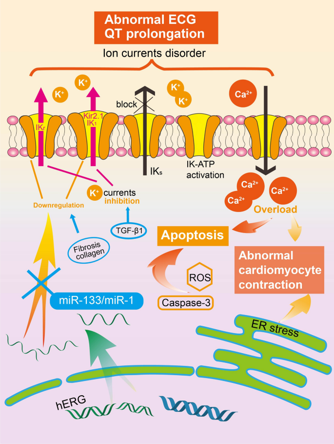 does glutathione cause detox in the sinuses Why Glutathione Matters for Chemical Sensitivity and MTHFR Variants