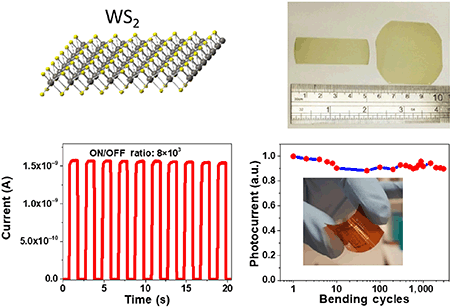 Wafer-scale synthesis of monolayer WS2 for high-performance flexible  photodetectors by enhanced chemical vapor deposition | SpringerLink