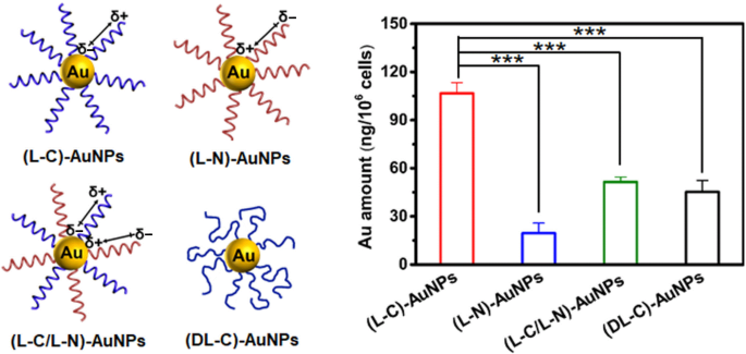 Regulation Of The Cellular Uptake Of Nanoparticles By The Orientation Of Helical Polypeptides Springerlink