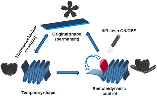 A Novel Near Infrared Light Responsive 4d Printed Nanoarchitecture With Dynamically And Remotely Controllable Transformation Springerlink