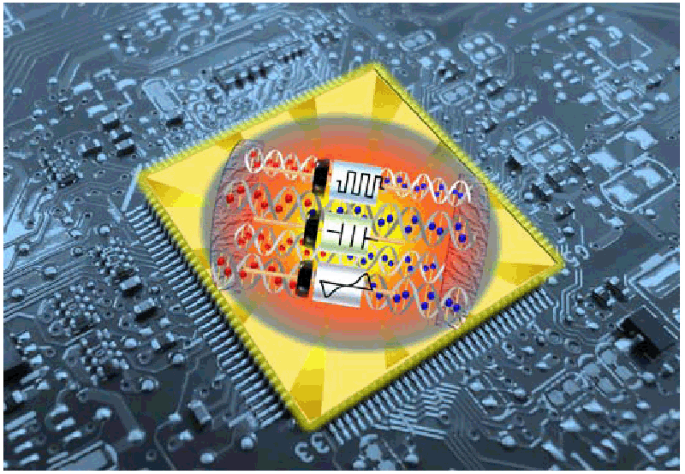 ni dna nanowire based