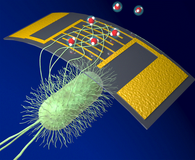 タンパク質ナノワイヤを使った極めて高感度の新しい化学物質センサー