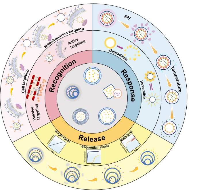 hollow structures as drug carriers recognition response and release springerlink