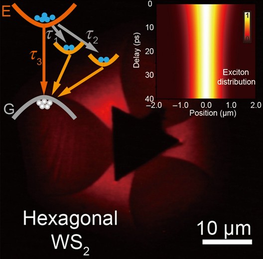 Defects exciton kinetics in monolayer WS2 |
