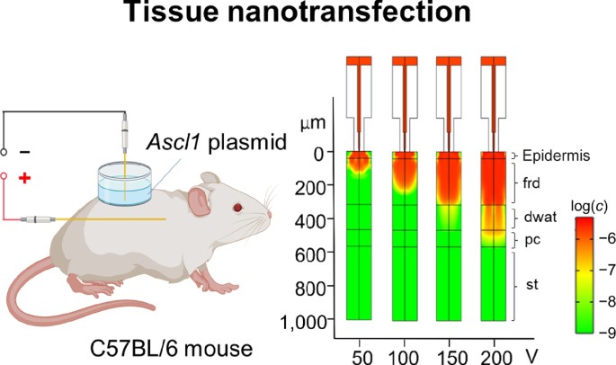 tissue nanotransfection research paper