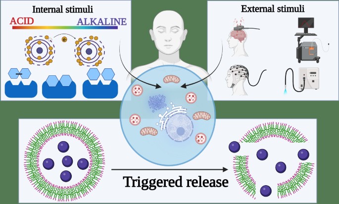 Nanofiber-Based Systems for Stimuli-Responsive and Dual Drug