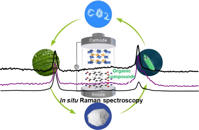 In situ tracking of the lithiation and sodiation process of disodium  terephthalate as anodes for rechargeable batteries by Raman spectroscopy |  SpringerLink