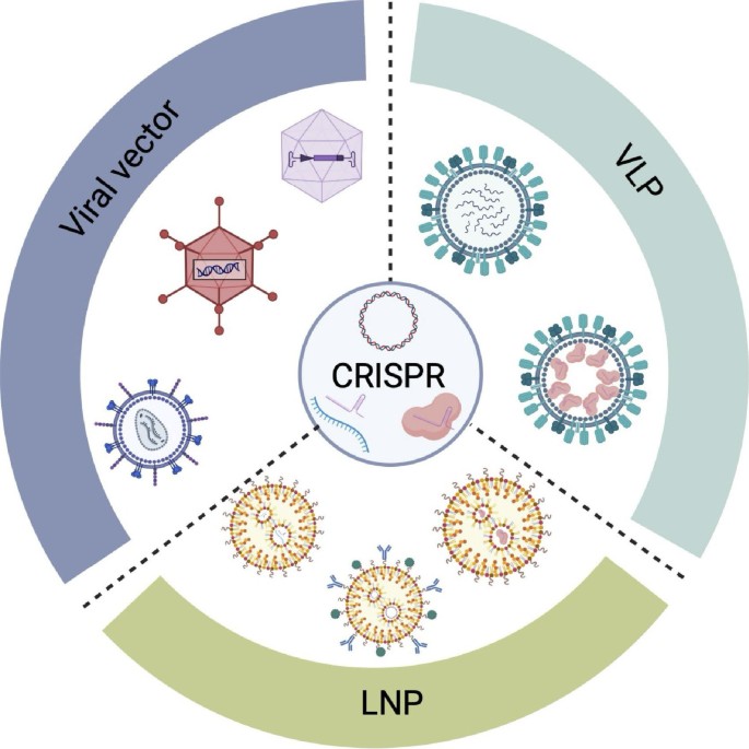 Viral and nonviral nanocarriers for in vivo CRISPR-based gene editing ...
