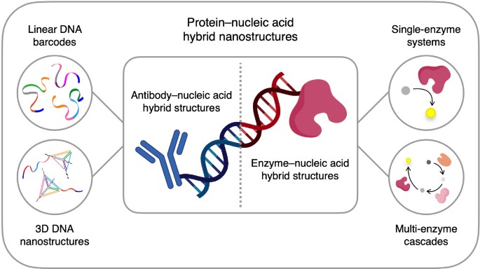 nucleic acid research