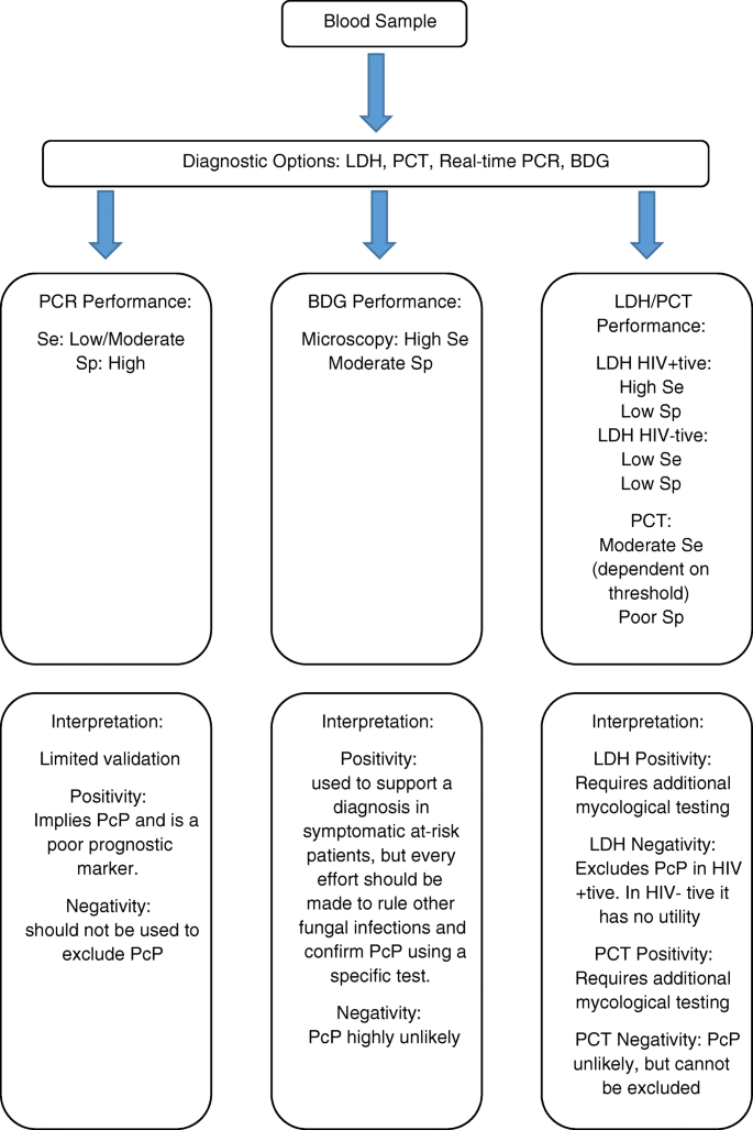 Pneumocystis jirovecii Pneumonia: Epidemiology, Clinical Manifestation and  Diagnosis | SpringerLink