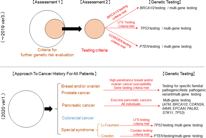 Hereditary Breast And Ovarian Cancer Hboc Review Of Its Molecular Characteristics Screening Treatment And Prognosis Springerlink