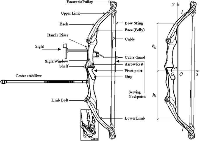 Compound archery bow asymmetry in the vertical plane ...