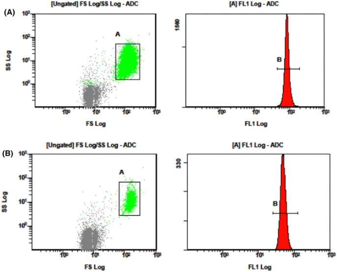 Flow Cytometric Eosin-5′-Maleimide Test is a Sensitive Screen for  Hereditary Spherocytosis | SpringerLink