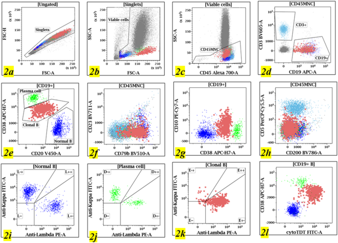 High Grade B-cell Lymphoma with MYC and BCL-2 Rearrangements with a ...