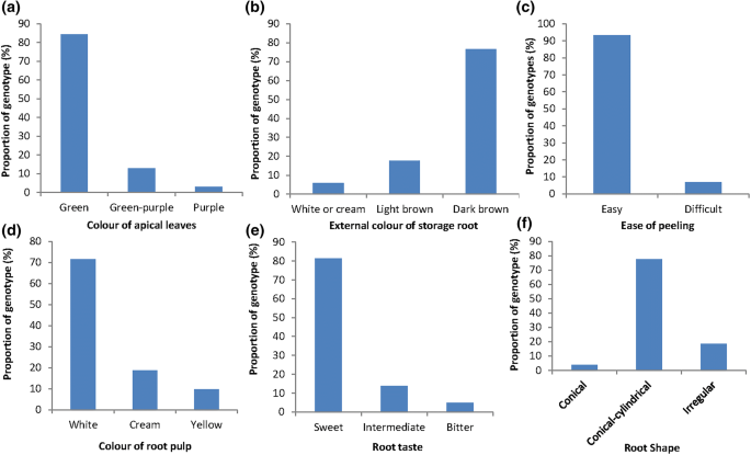 Genetic characterization of cassava (Manihot esculenta Crantz) genotypes  using agro-morphological and single nucleotide polymorphism markers |  SpringerLink
