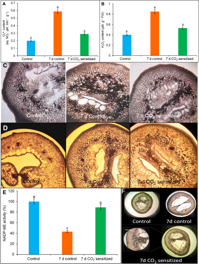Carbon dioxide sensitization delays the postharvest ripening and fatty ...