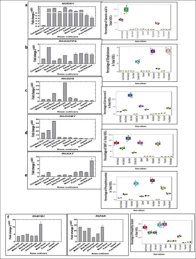 Comparative study on chemical characteristics of aromatic volatile ...