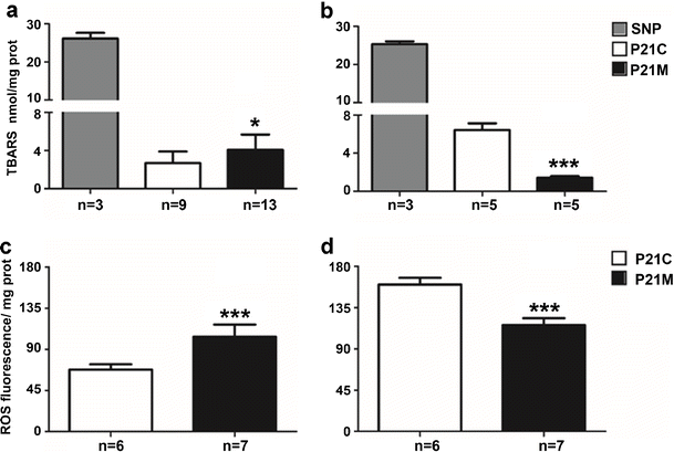 Fighting Oxidative Stress Increased Resistance Of Male Rat Cerebellum At Weaning Induced By Low Omega 6 Omega 3 Ratio In A Protein Deficient Diet Springerlink