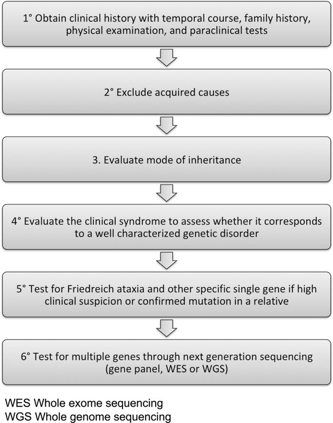 The Classification of Autosomal Recessive Cerebellar Ataxias: a